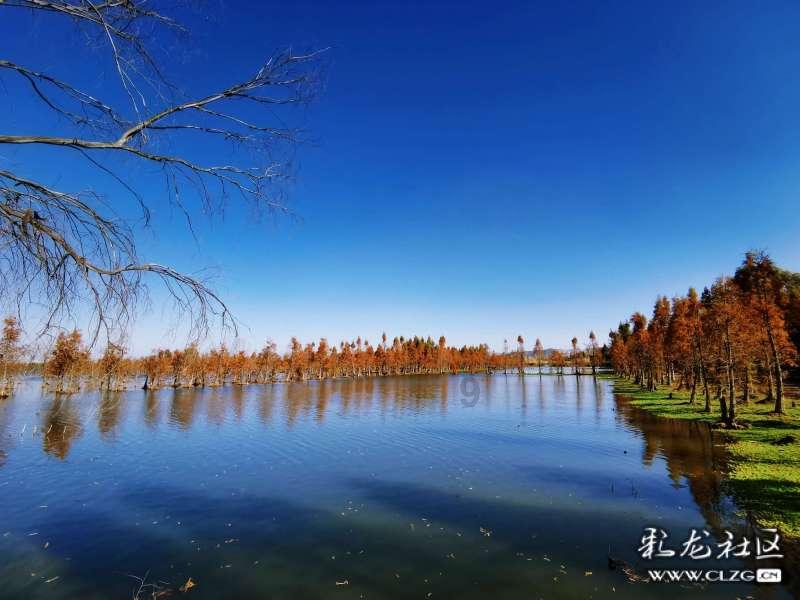 用为什么没人黑古天乐呢?解答您的问题-为什么没人黑古天乐呢?有问必答平台